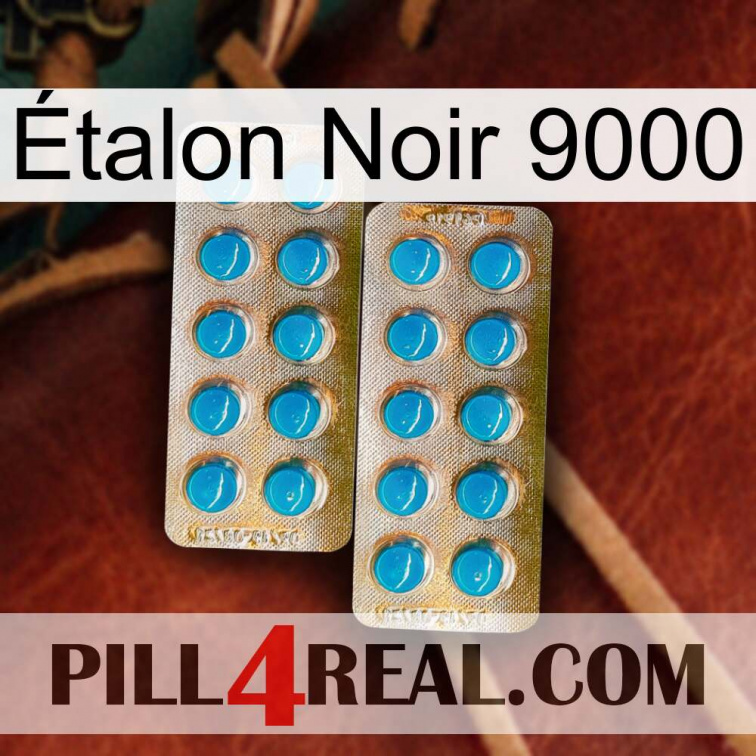 Étalon Noir 9000 new08